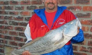 Galjoene en Kabeljoue